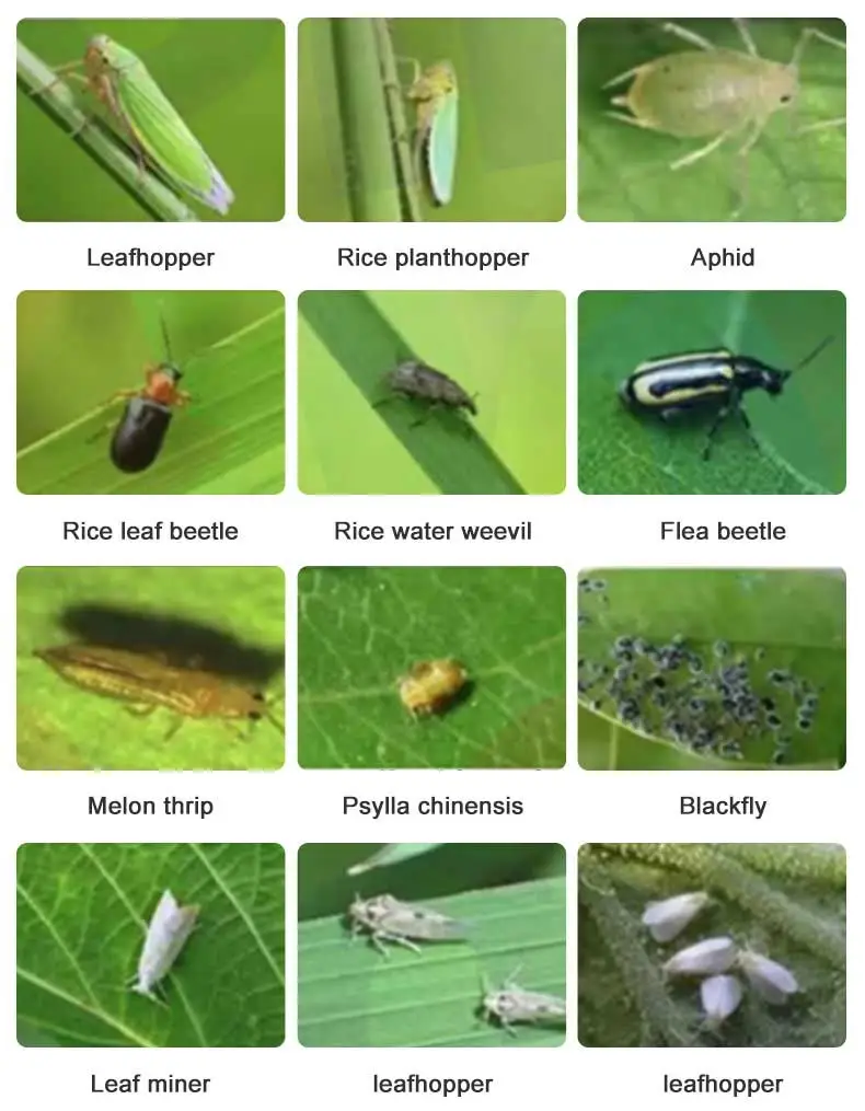 product-1-1 product-1-1