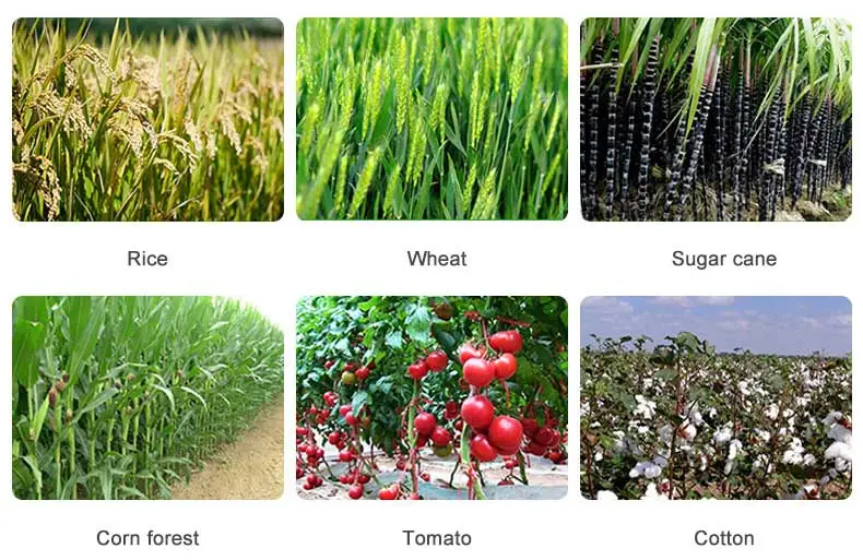 Fenoxaprop-p-ethyl Fenoxaprop-p-ethyl
