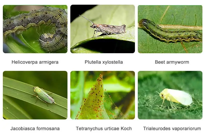 Fosthiazate Nematicide Fosthiazate Nematicide