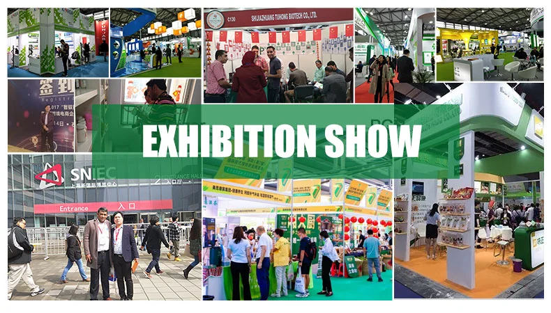 ga3 gibberellic acid exhibition