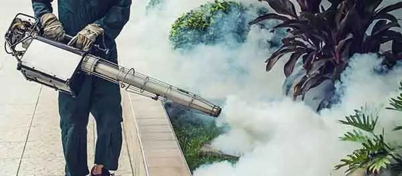 Pirimiphos-Methyl Pirimiphos-Methyl