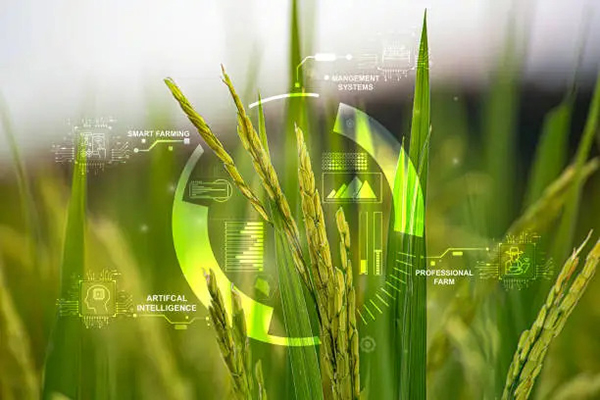 Global Trends in Agricultural Chemicals—From Conventional Pesticides to Sustainable Solutions